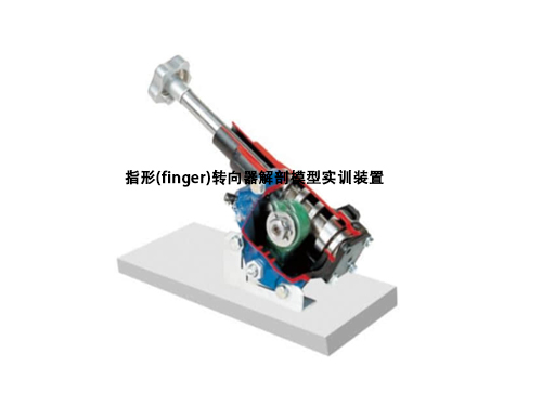 指形(finger)轉(zhuǎn)向器解剖模型實(shí)訓(xùn)裝置(圖1)